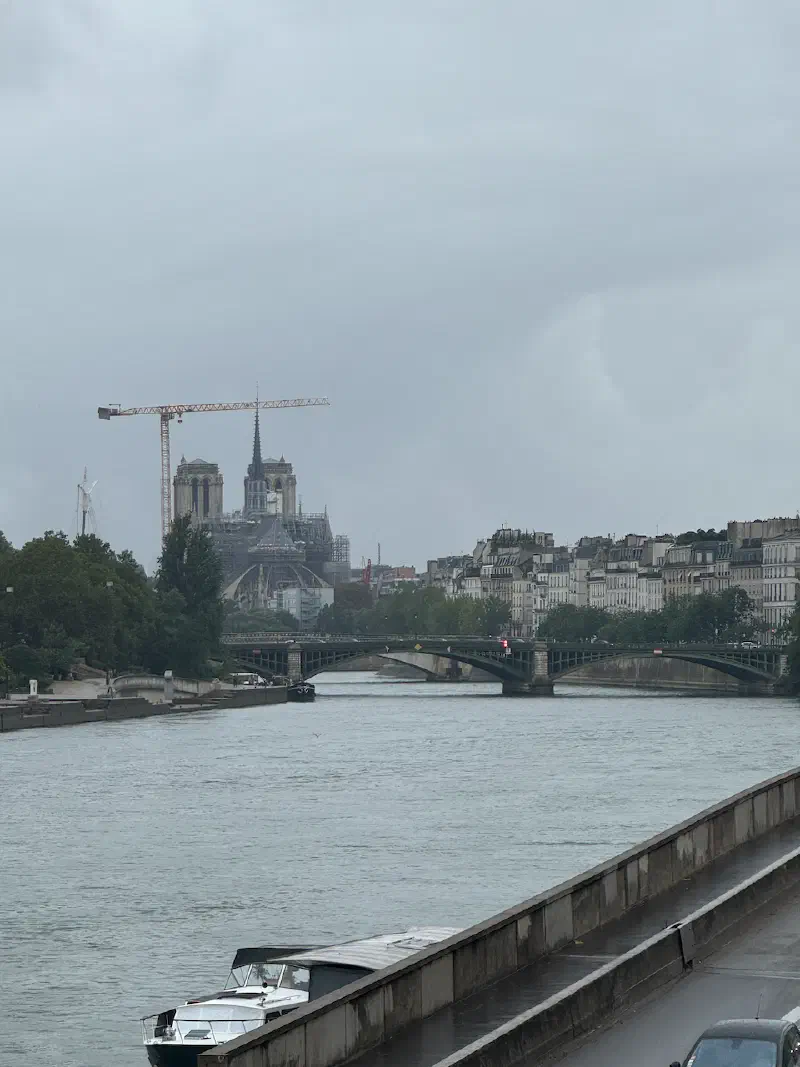 Crossing Paris