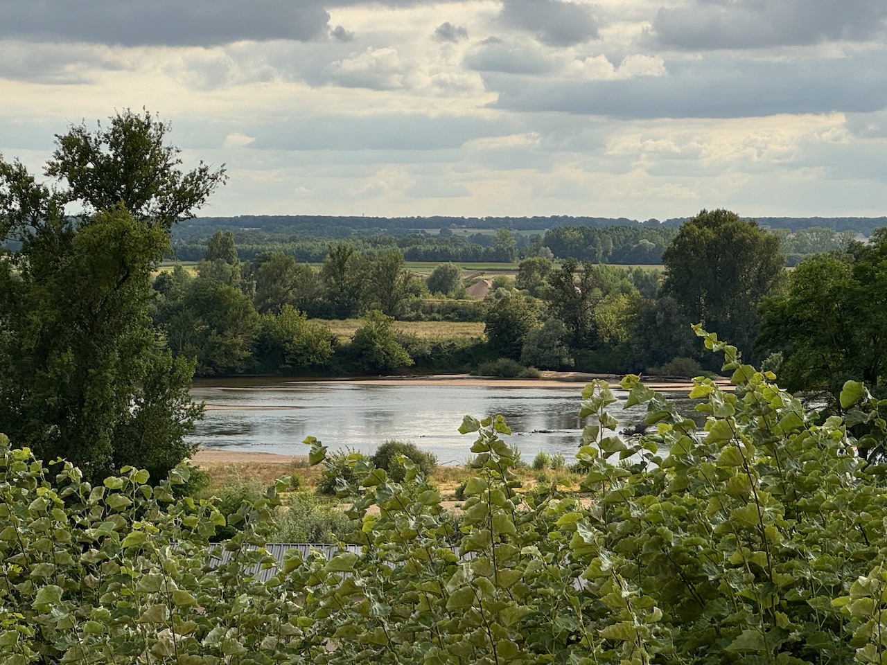 View from my room at Le Coq Hardi - Hotel in Pouilly-sur-Loire