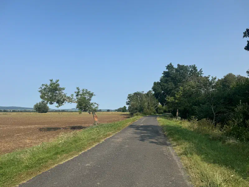 Levée de la Loire