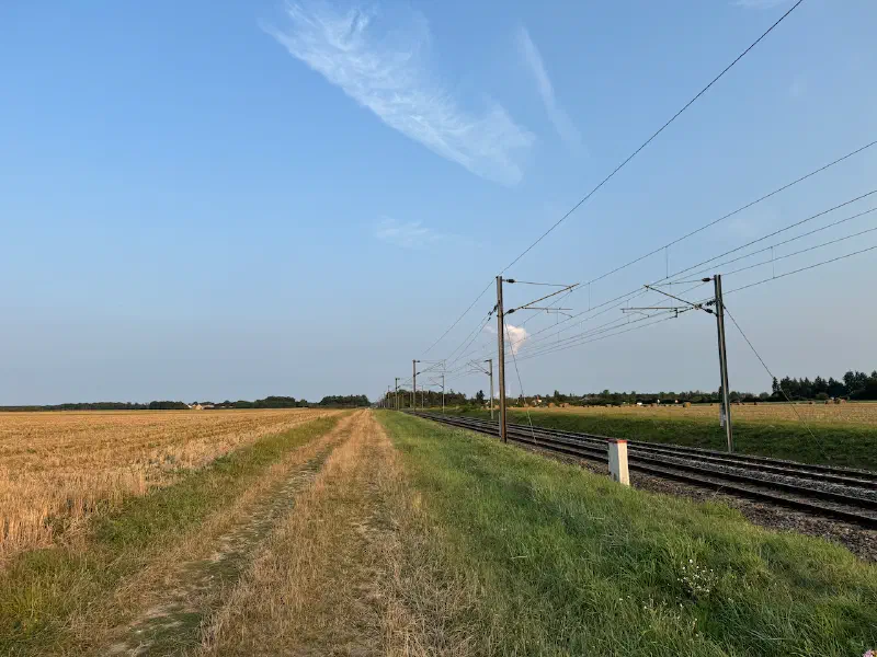 On my way for food