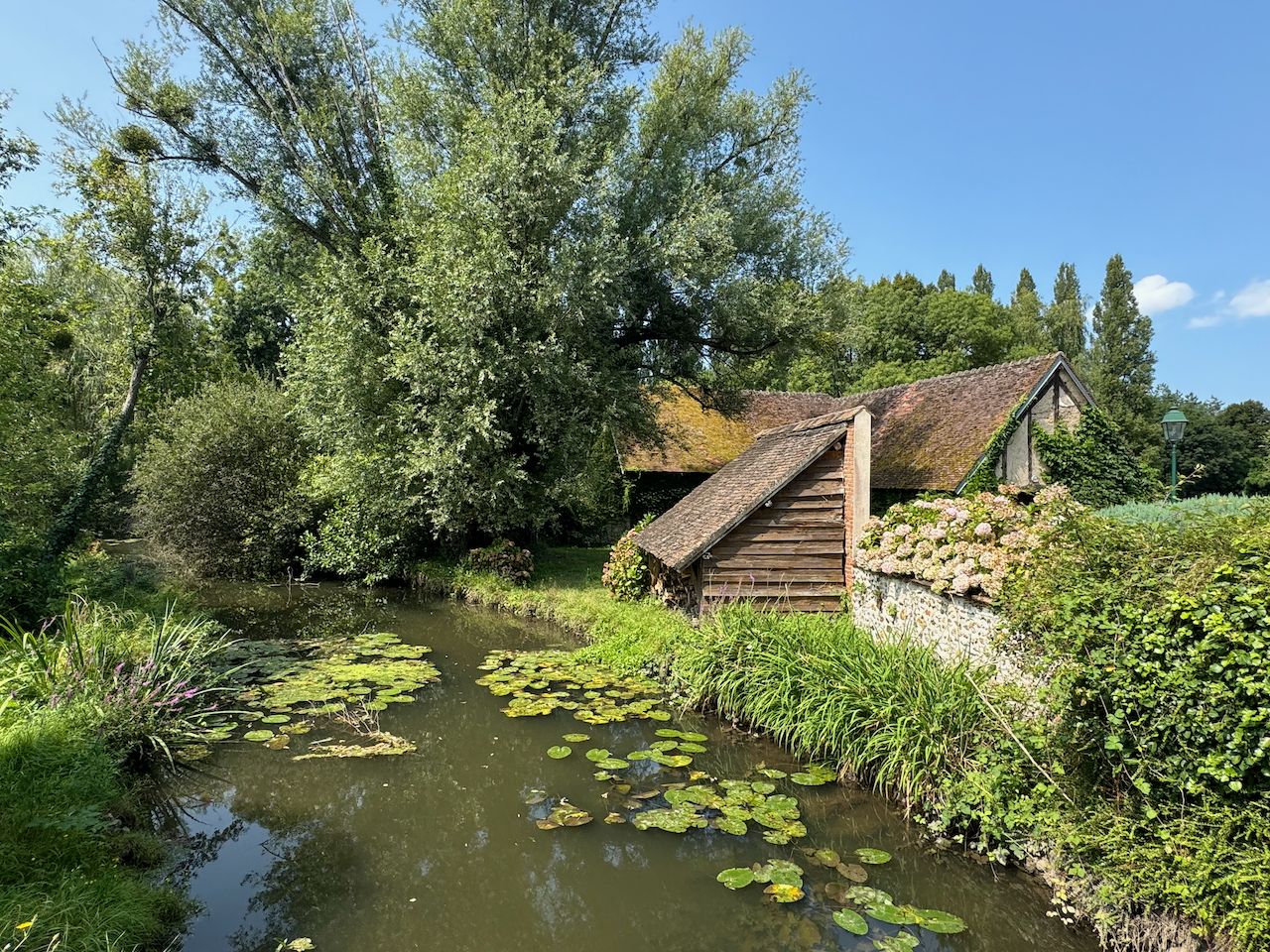 Pond in Saint Gondon