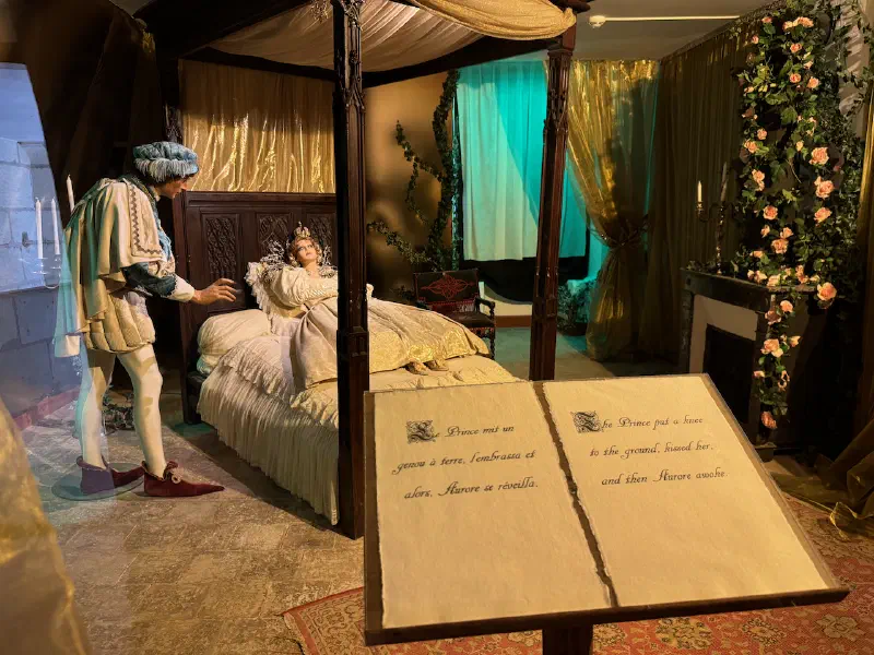 Château d'Ussé - Sleeping Beauty 2