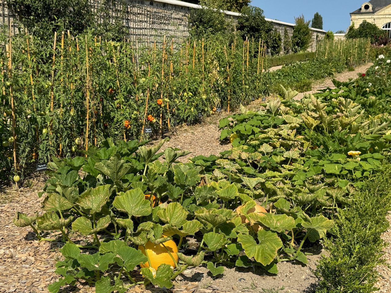 Château d'Ussé - garden