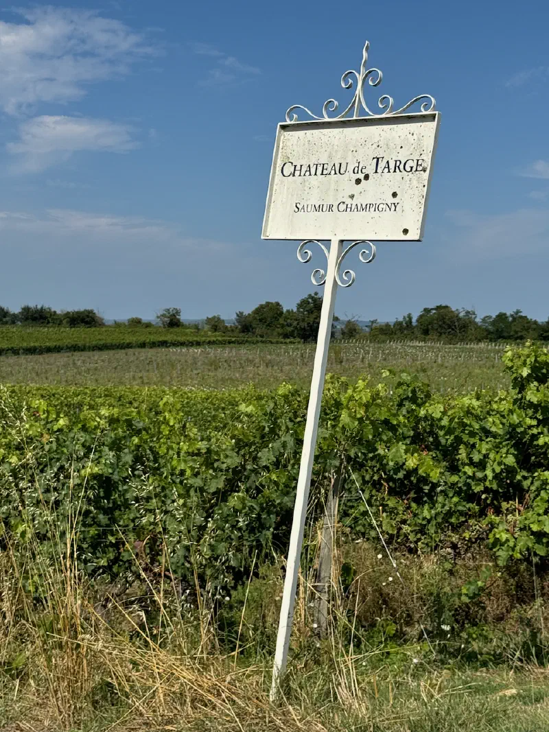 Château de Targes vineyards at Parnay