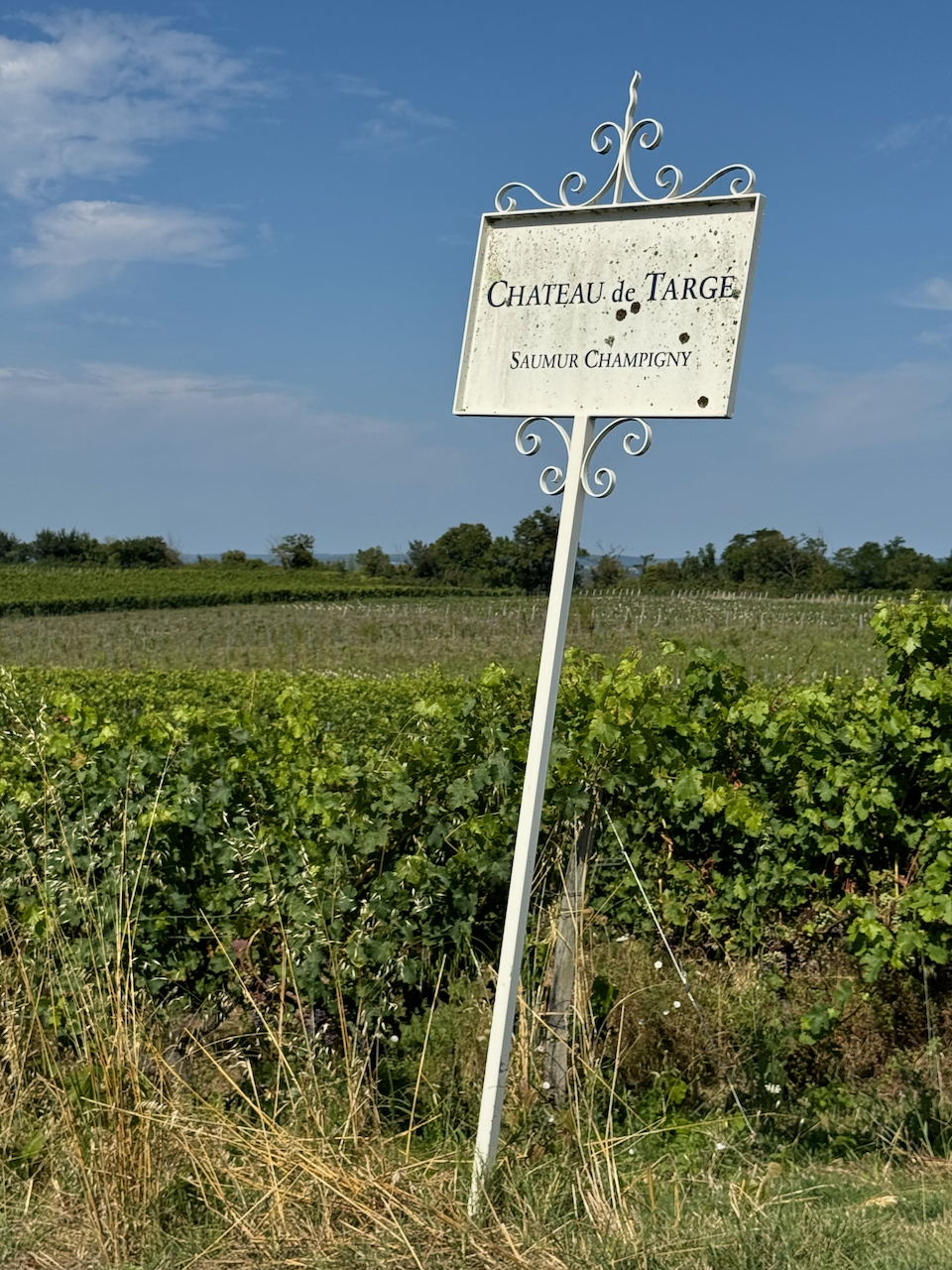 Château de Targes vineyards at Parnay