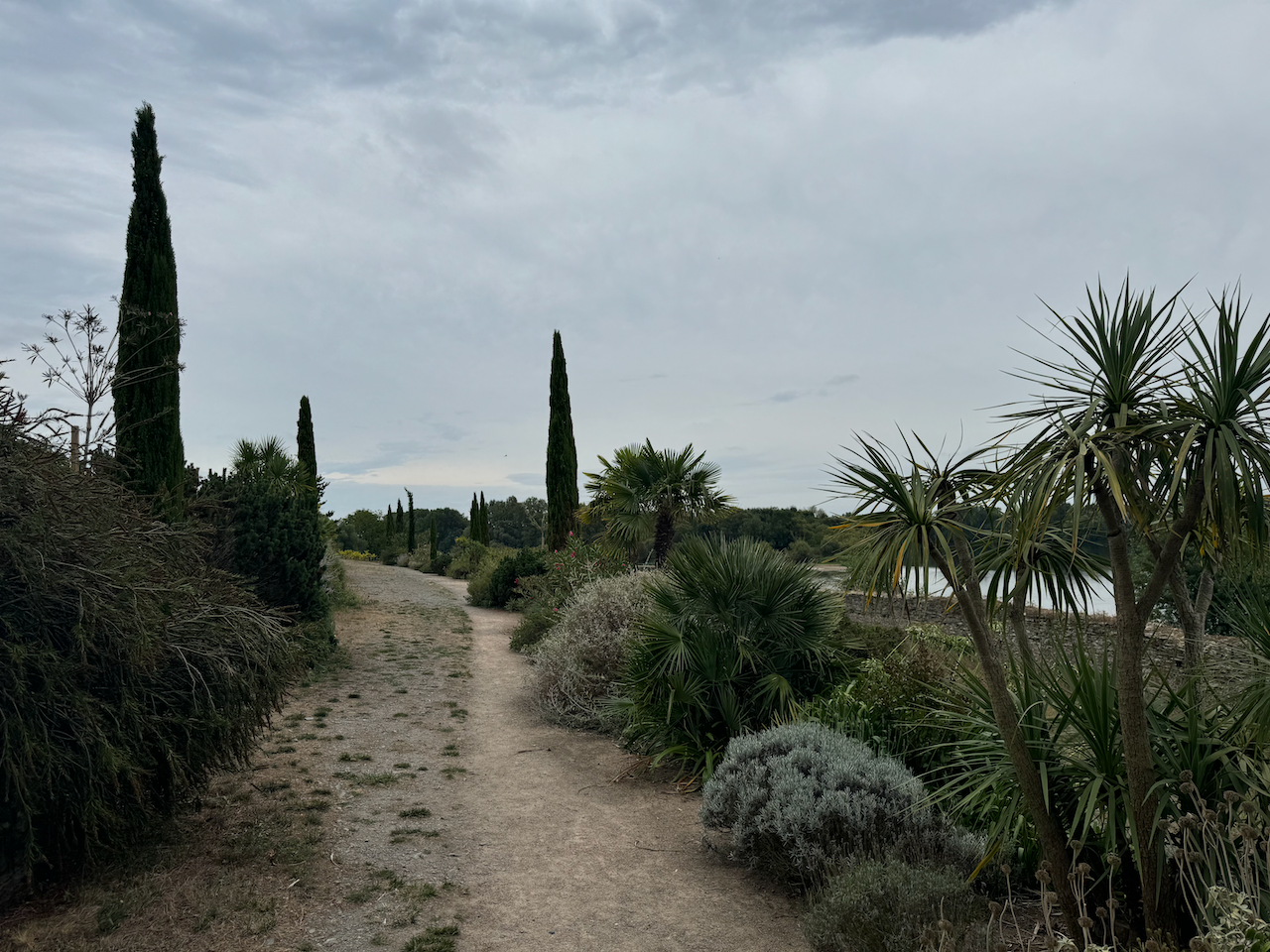 Mediterranean garden at Sainte Gemmes-sur-Loire