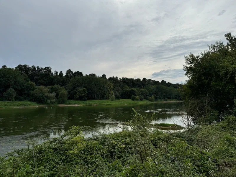 Île de Chalonnes