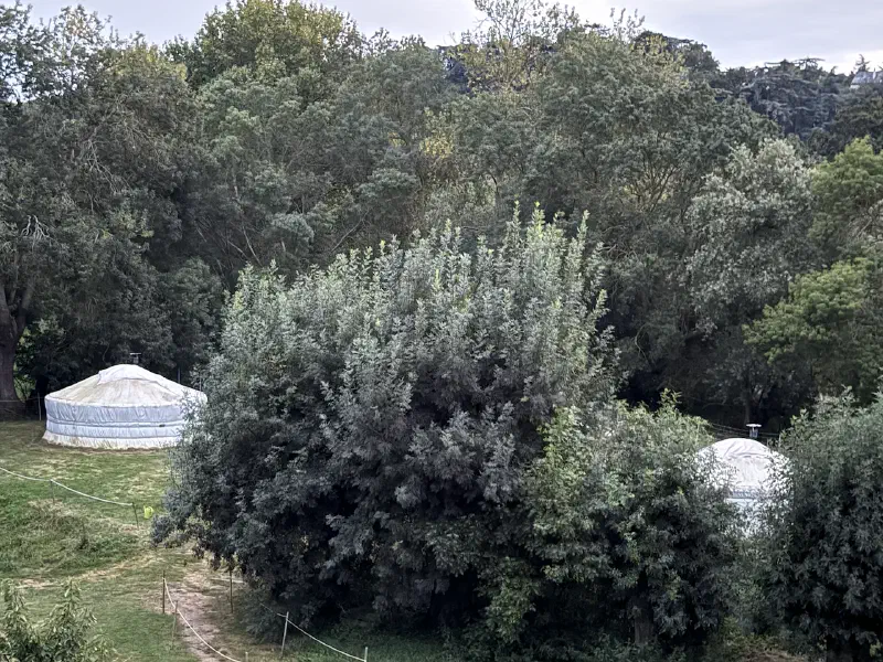 Au bout de l'île - Yurts