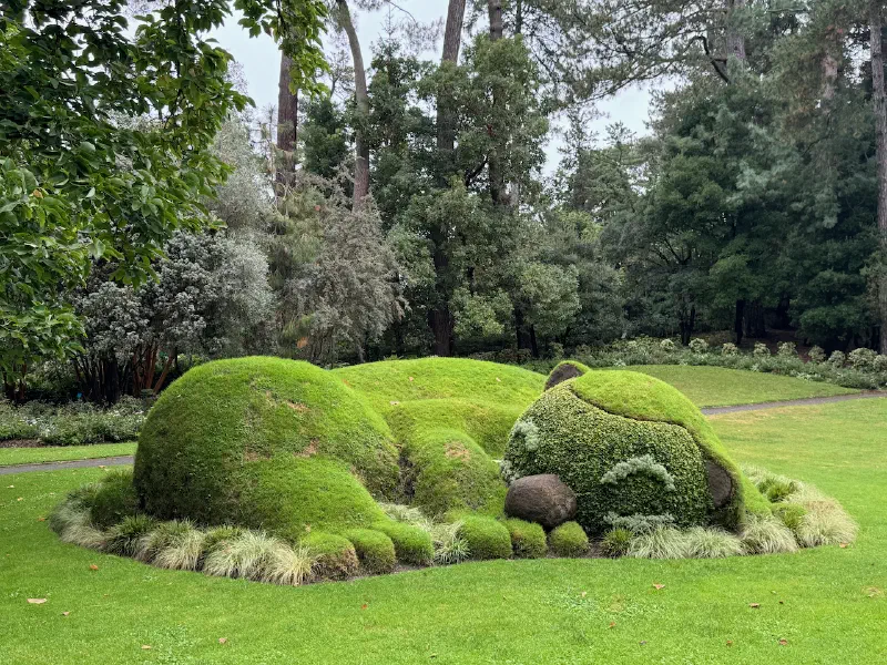 Nantes sleeping cat