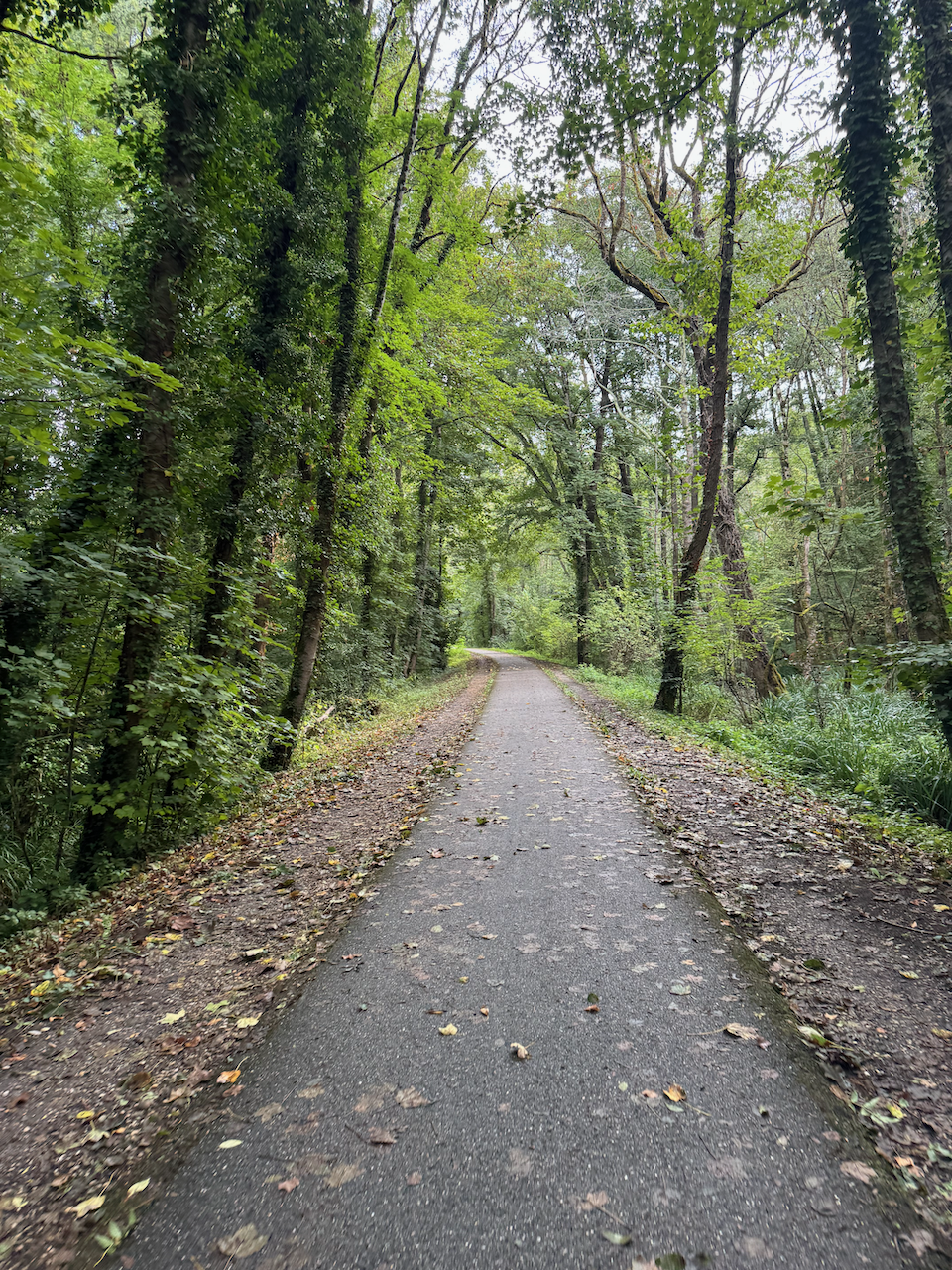 Vélostevie - Le Canal des 2 Mers à vélo