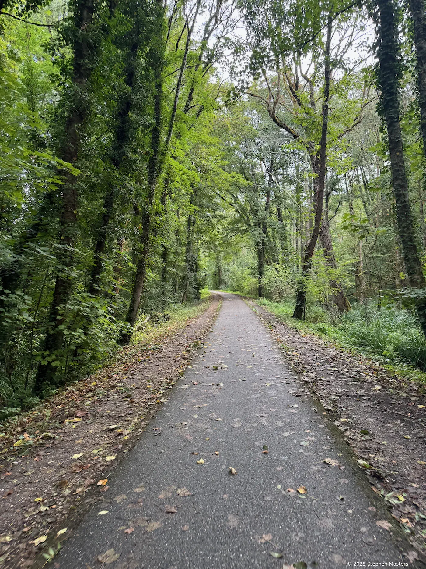 Le Canal des Deux Mers à Vélo day 1 - 74 km from Bordeaux to Langon
