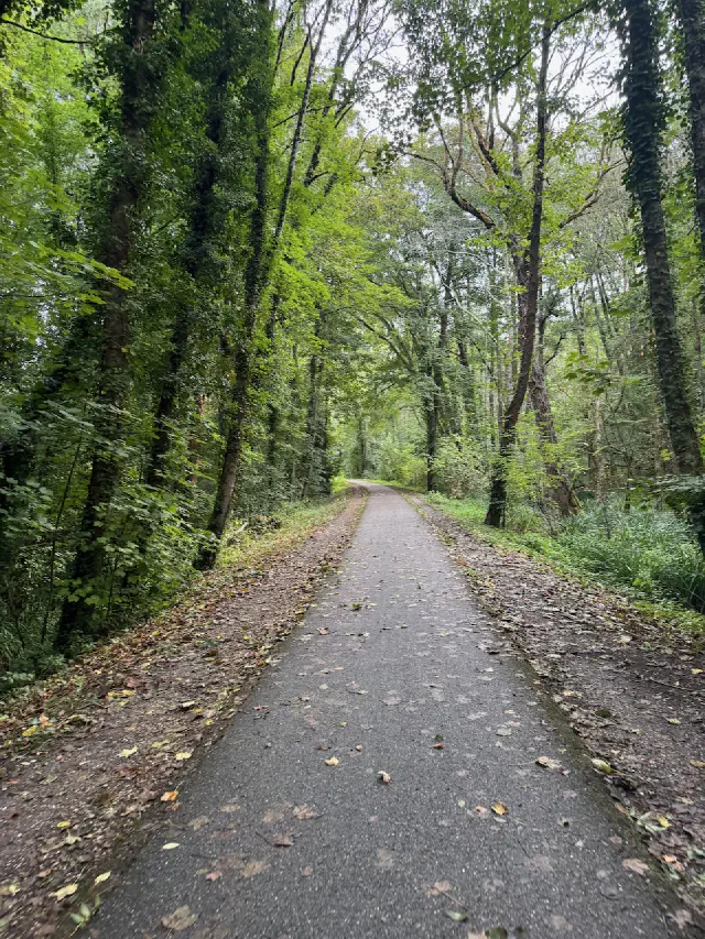 Vélostevie - Le Canal des 2 Mers à vélo