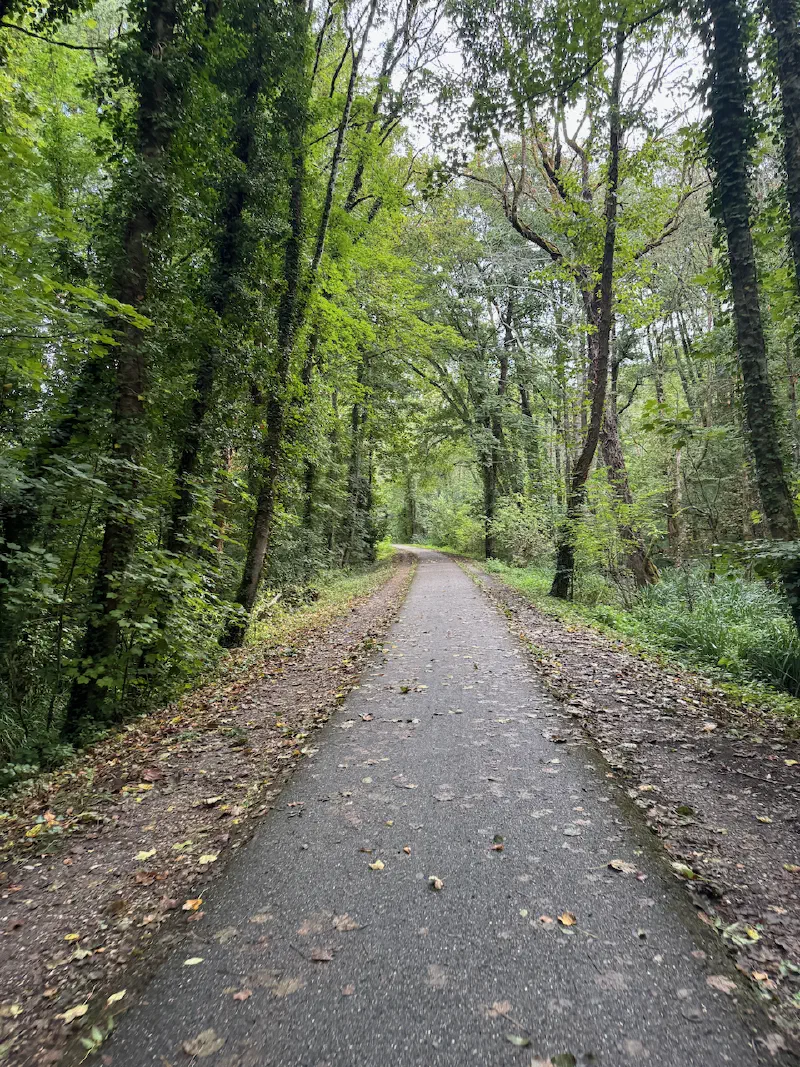 Bike path leaving Bordeaux
