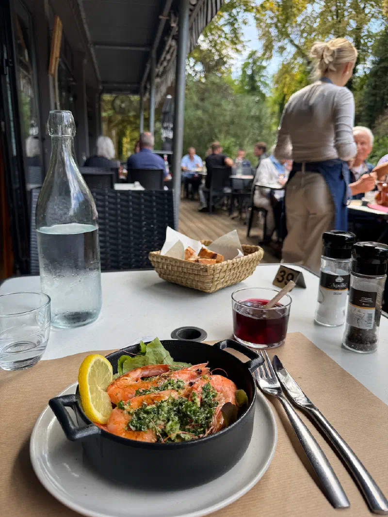 Lunch starter