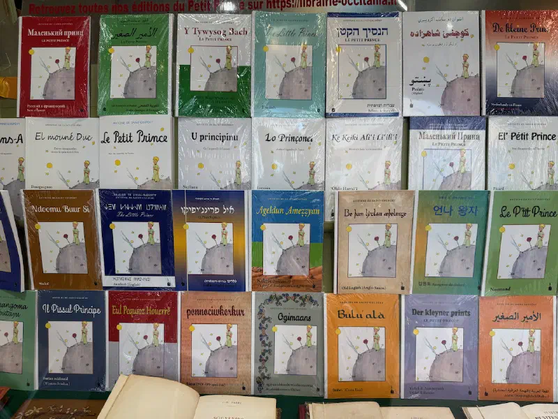 Toulouse - Centre - Little Prince in many languages