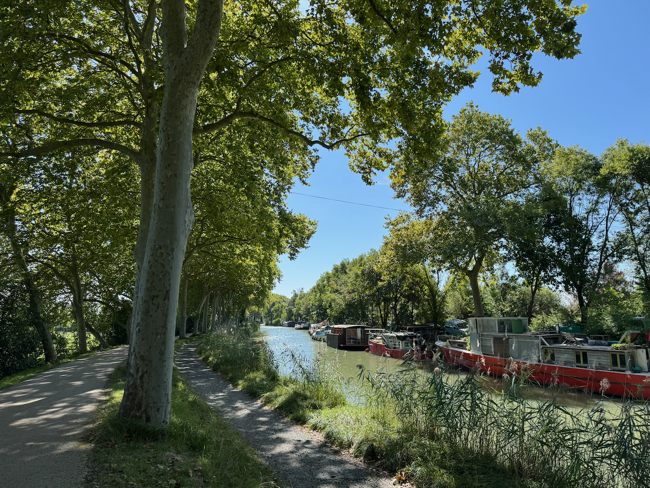 Vélostevie - Le Canal des 2 Mers à vélo