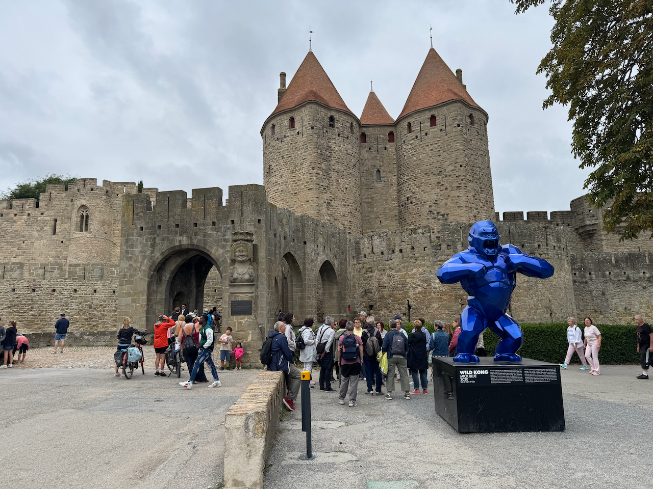 Carcassonne - Blue gorilla