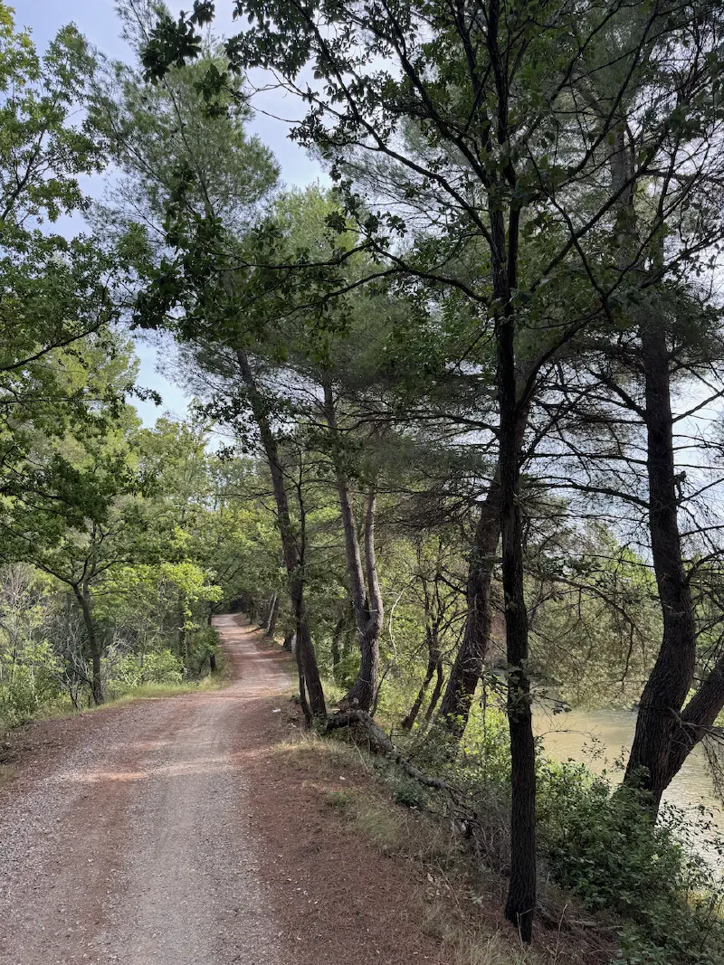A winding path