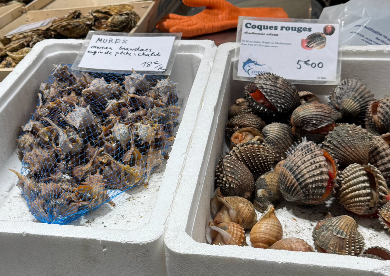 Narbonne - Seafood in the market