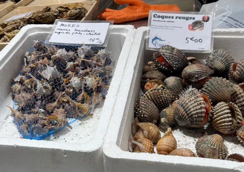 Narbonne - Seafood in the market