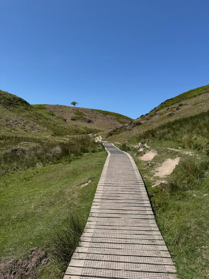 A boardwalk